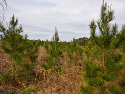 Farm and Ranch in Laurens County, Georgia