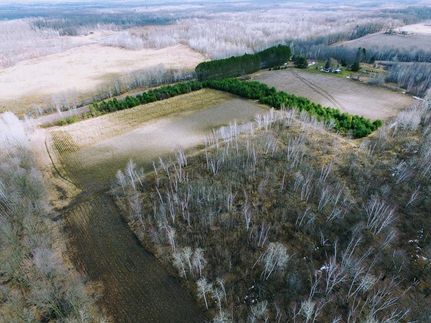 Undeveloped Land in Chippewa County, Wisconsin