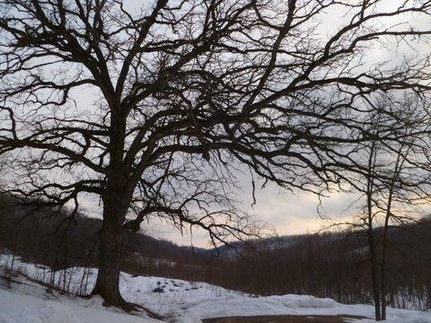 Land in Sauk County, Wisconsin