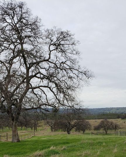 Farm and Ranch in Tuolumne County, California