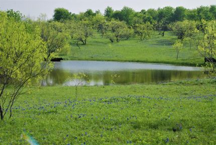 Undeveloped Land in Hill County, Texas