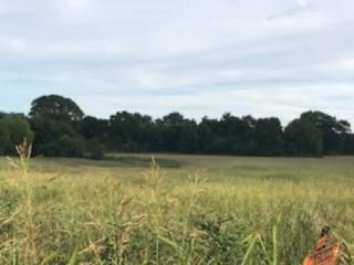 Horse Property in Austin County, Texas