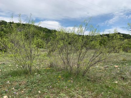 Land for sale in Edwards County, Texas