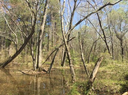 Land in Kershaw County, South Carolina