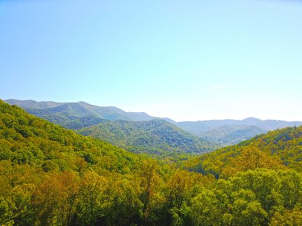 Undeveloped Land in Buncombe County, North Carolina