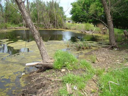 Undeveloped Land in Eastland County, Texas