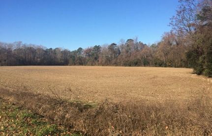 Farm and Ranch in Robeson County, North Carolina