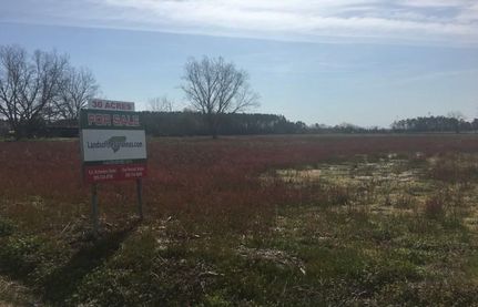Farm and Ranch for sale in Robeson County, North Carolina