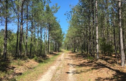 Farm and Ranch in Brunswick County, North Carolina