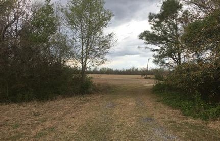 Farm and Ranch in Florence County, South Carolina