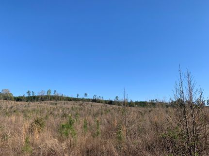 Recreational Property in Autauga County, Alabama