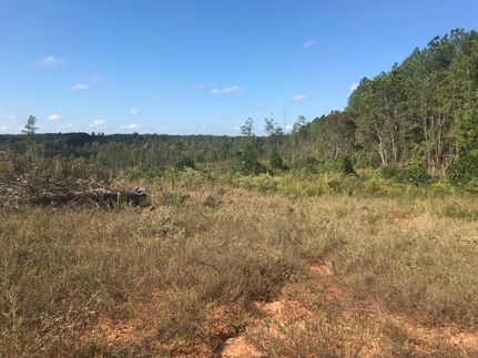 Land in Fayette County, Alabama