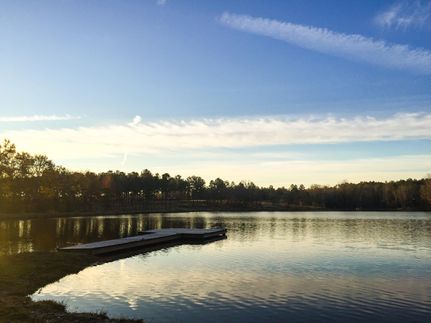 Timberland Property in Bullock County, Alabama