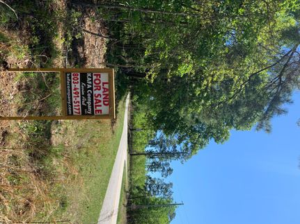 Undeveloped Land in Clarendon County, South Carolina