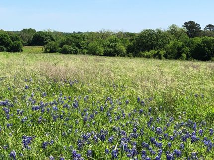 Farm and Ranch in Austin County, Texas