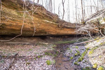Farm and Ranch in Scioto County, Ohio
