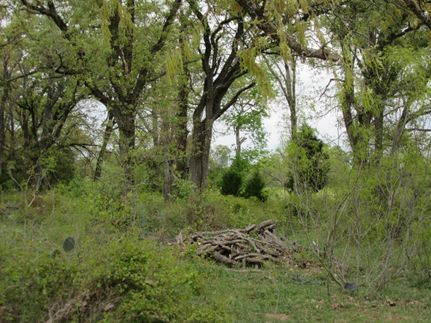 Commercial Property in Bastrop County, Texas