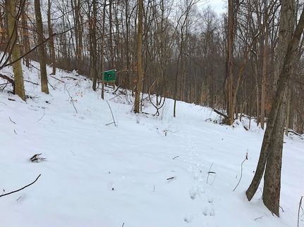 Recreational Property in Muskingum County, Ohio