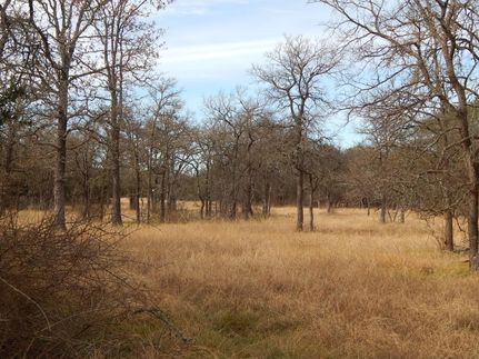 Recreational Property in Williamson County, Texas