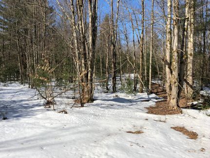 Commercial Property in Oswego County, New York