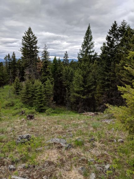 Farm and Ranch in Ferry County, Washington