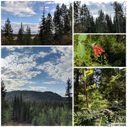 Farm and Ranch in Pend Oreille County, Washington