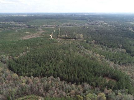 Timberland Property in Greene County, Mississippi
