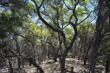 Farm and Ranch in Hays County, Texas