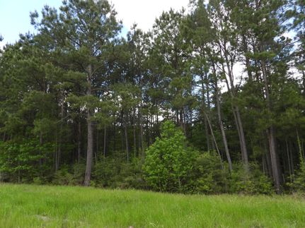 Farm and Ranch in Tyler County, Texas