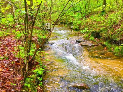 Recreational Property in Cherokee County, Alabama