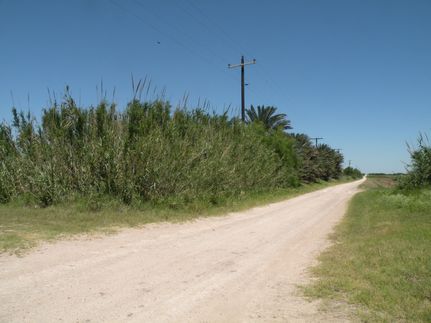Undeveloped Land in Hidalgo County, Texas