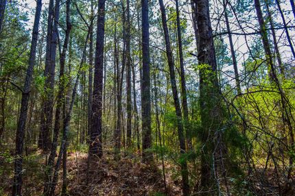 Farm and Ranch in Spartanburg County, South Carolina