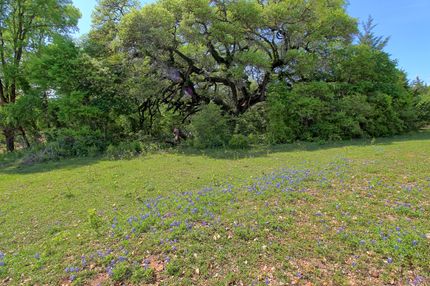 Hunting Property in Colorado County, Texas