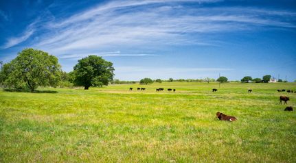 Farm and Ranch in Mason County, Texas
