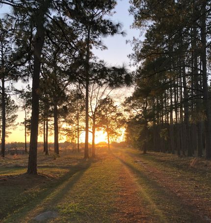 Recreational Property in Thomas County, Georgia