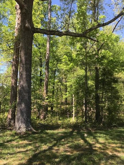 Recreational Property in Hamilton County, Tennessee