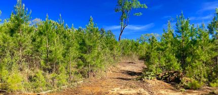 Recreational Property in Cullman County, Alabama