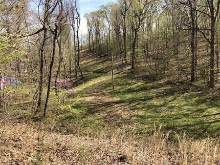 Timberland Property in Benton County, Missouri