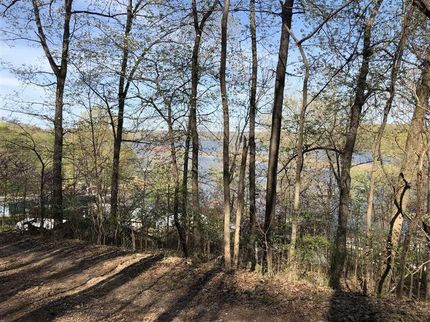 Waterfront Property in Benton County, Missouri