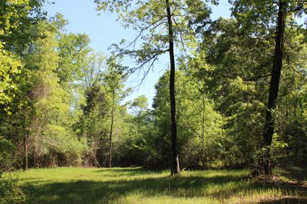 Farm and Ranch in Macon County, Alabama