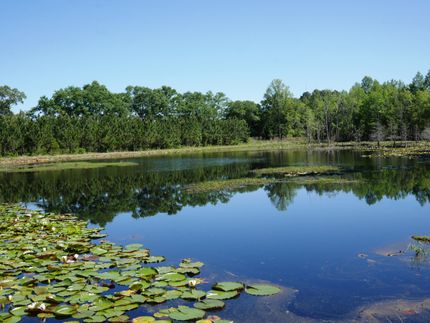 Recreational Property in Bulloch County, Georgia