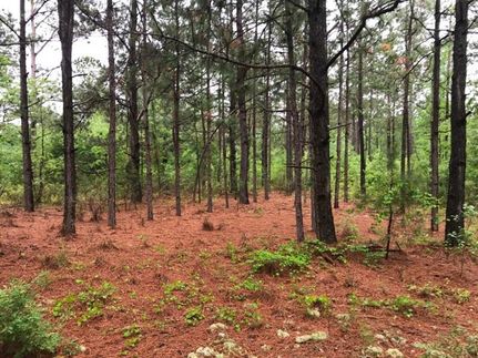 Land in Jenkins County, Georgia