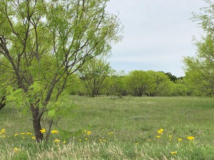 Recreational Property in Eastland County, Texas