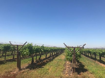 Land in Tulare County, California