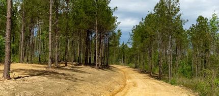 Farm and Ranch in Blount County, Alabama