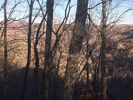 Farm and Ranch in Marion County, Tennessee