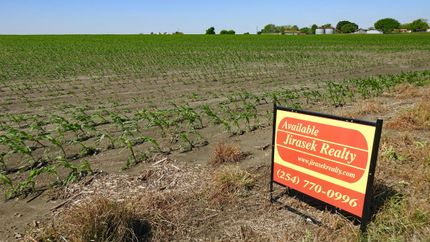 Timberland Property in Milam County, Texas