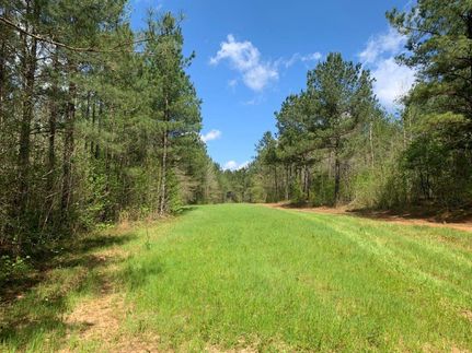 Hunting Property in Henry County, Alabama