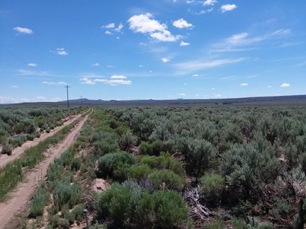 Undeveloped Land in Lake County, Oregon