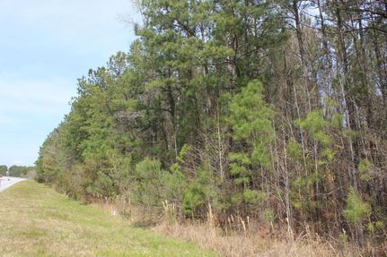 Undeveloped Land in Berkeley County, South Carolina